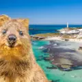 Rottnest Island